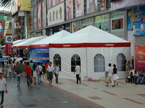 歐式篷房 美觀實(shí)用的多功能辦公解決方案